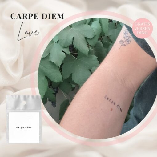 Tijdelijke tattoo carpe diem 1