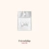 Tijdelijke tattoo friendship product